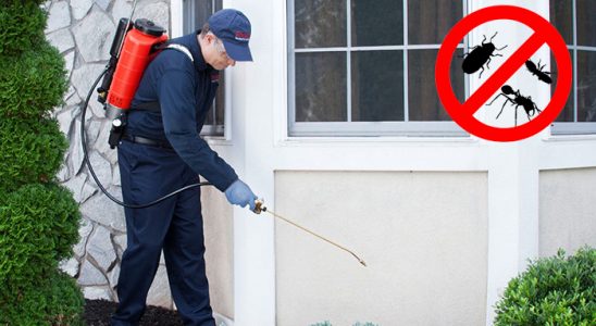 Güzelbahçe Dezenfeksiyon böcek ilaçlama ve haşere kontrolü — ilaclama-tr.com